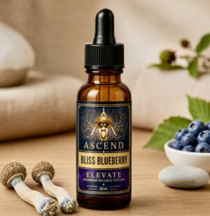 ASCEND Bliss Blueberry tincture bottle with blueberries on a beige tabletop.